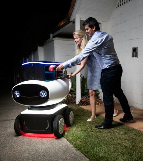 pizzabot Dominos Pizza Bot