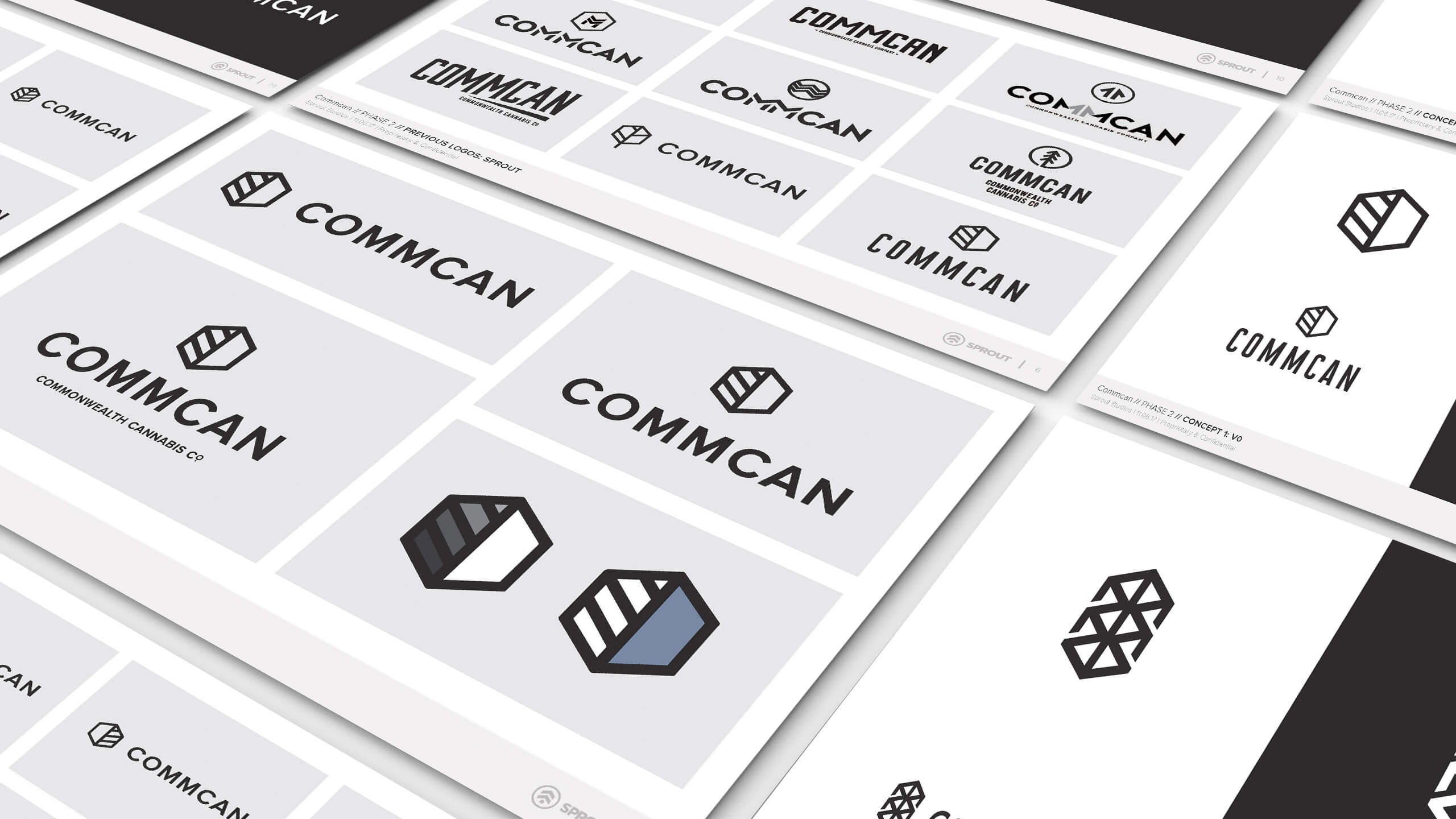 CommCan identity design process